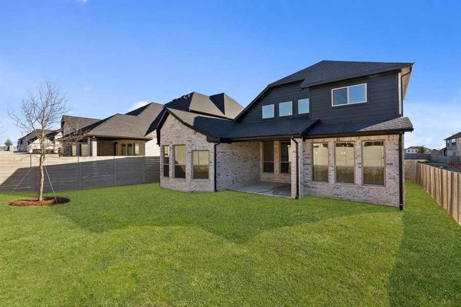 DAL_Painted Tree_Mineola_3916 Attwater Street (40)