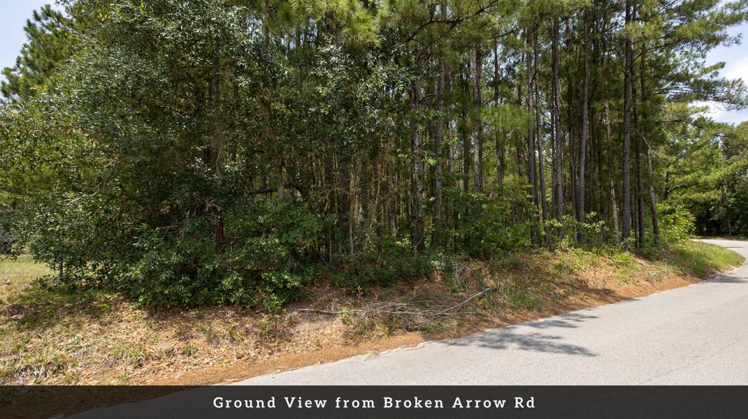 Natural landscape and outdoor views near  in Eutawville (Image 37).