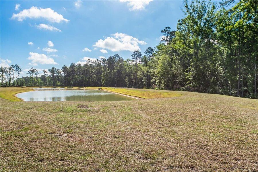 Natural landscape and outdoor views near  in Summerville (Image 38).