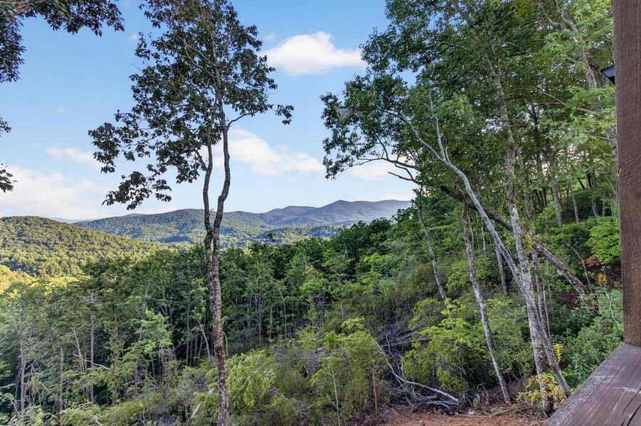 Natural landscape and outdoor views near  in Blue Ridge (Image 80).