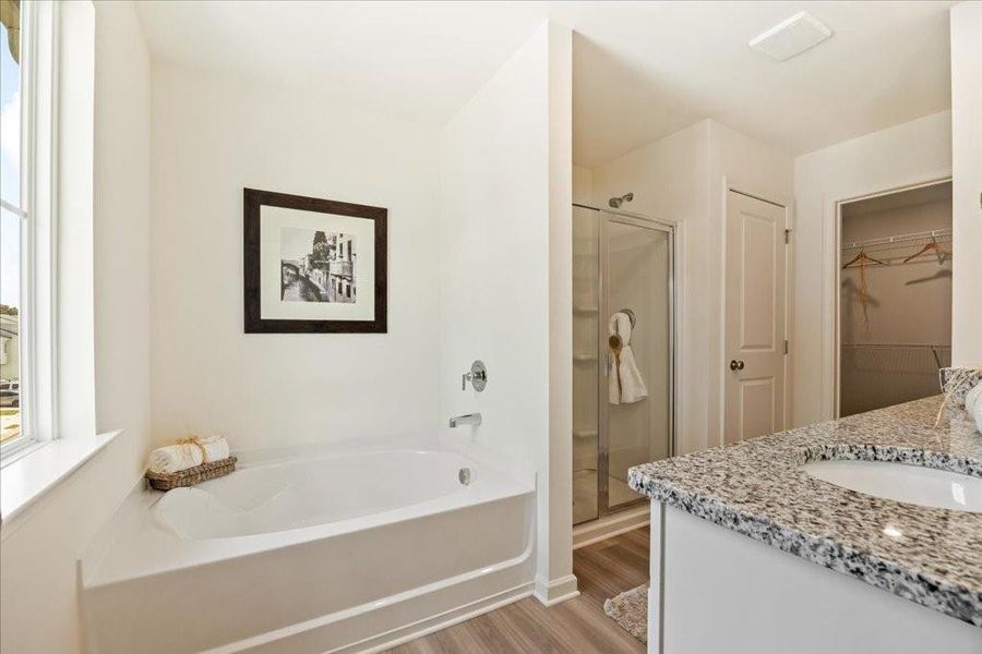 Furnished interior view inside a new home in Old Salem Crossing, Conyers (Image 12).