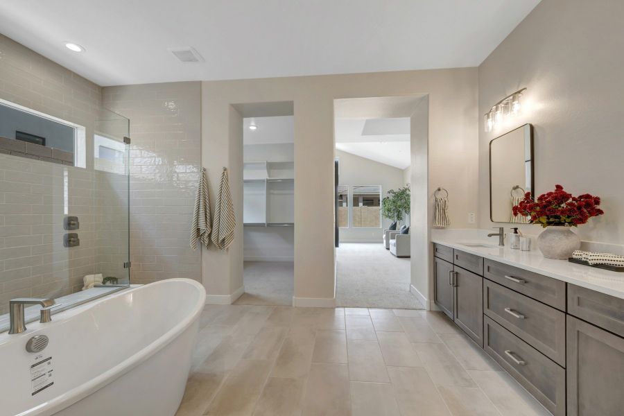 Owner's Bath