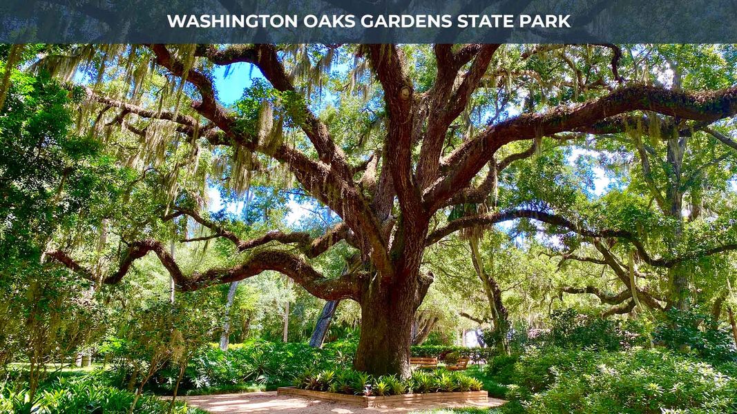 Image 10 representing the Madison by D.R. Horton in Palm Coast Homesites, Palm Coast, FL.