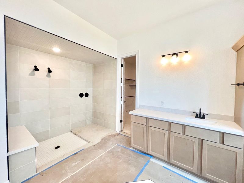 Bathroom featuring tiled shower, vanity, and a spacious closet Bathroom featuring tiled shower, vanity, and a spacious closet