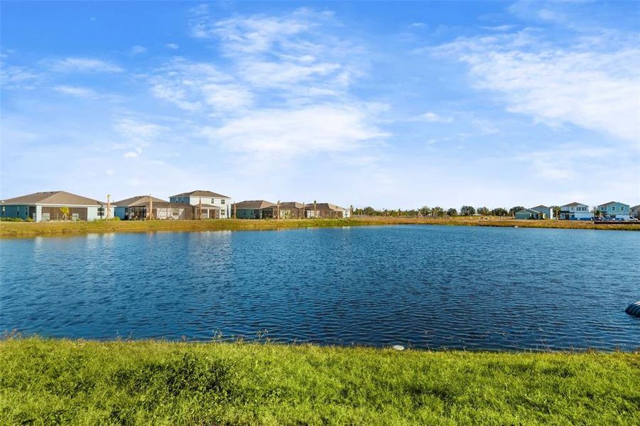 Natural landscape and outdoor views near Rye Ranch in Parrish (Image 55).