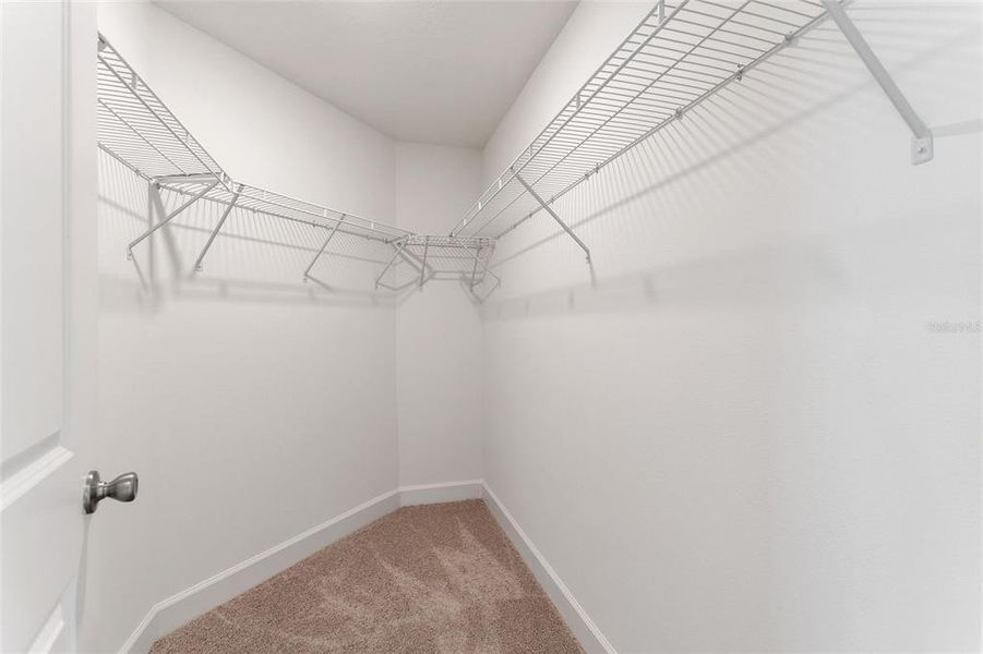 Spacious, unfurnished interior of a new home in , Davenport (Image 24).