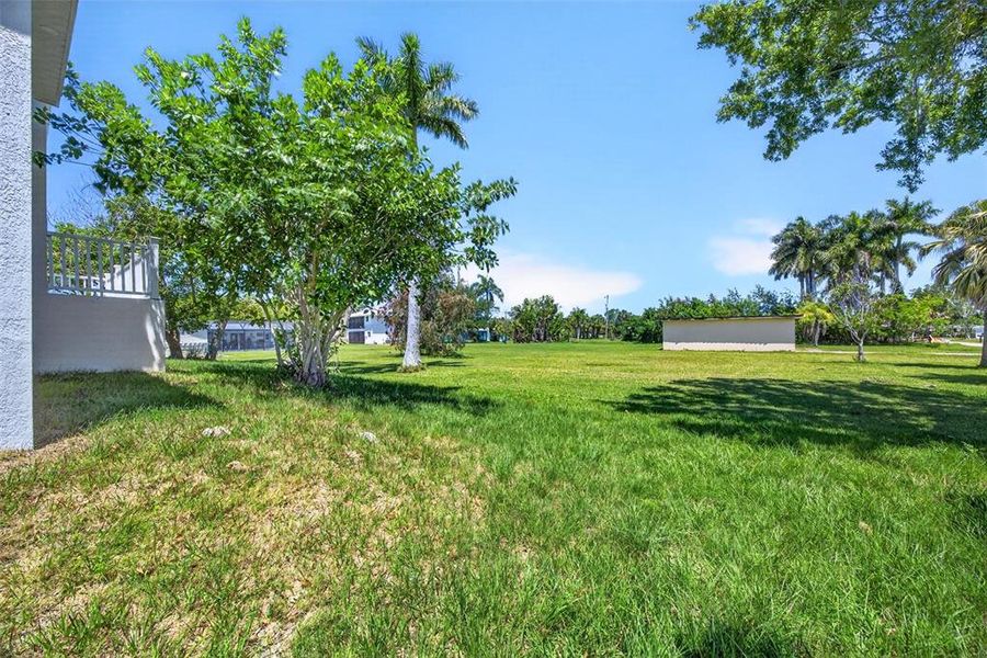 Natural landscape and outdoor views near  in Punta Gorda (Image 36).