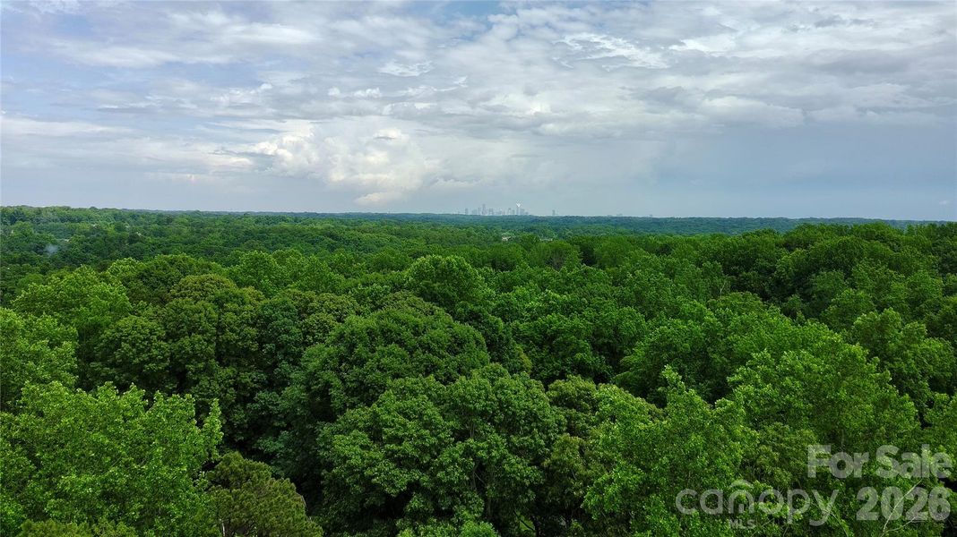 Natural landscape and outdoor views near  in Charlotte (Image 15).