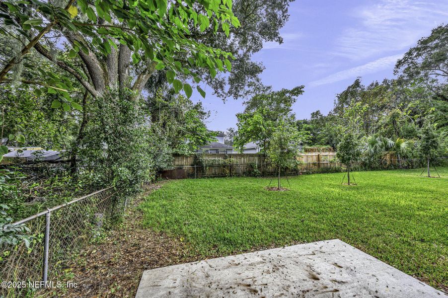 Natural landscape and outdoor views near in Jacksonville (Image 31). Natural landscape and outdoor views near in Jacksonville (Image 31).