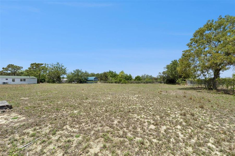 Natural landscape and outdoor views near  in Lake Wales (Image 27).