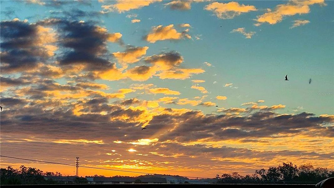 Natural landscape and outdoor views near  in New Port Richey (Image 54).