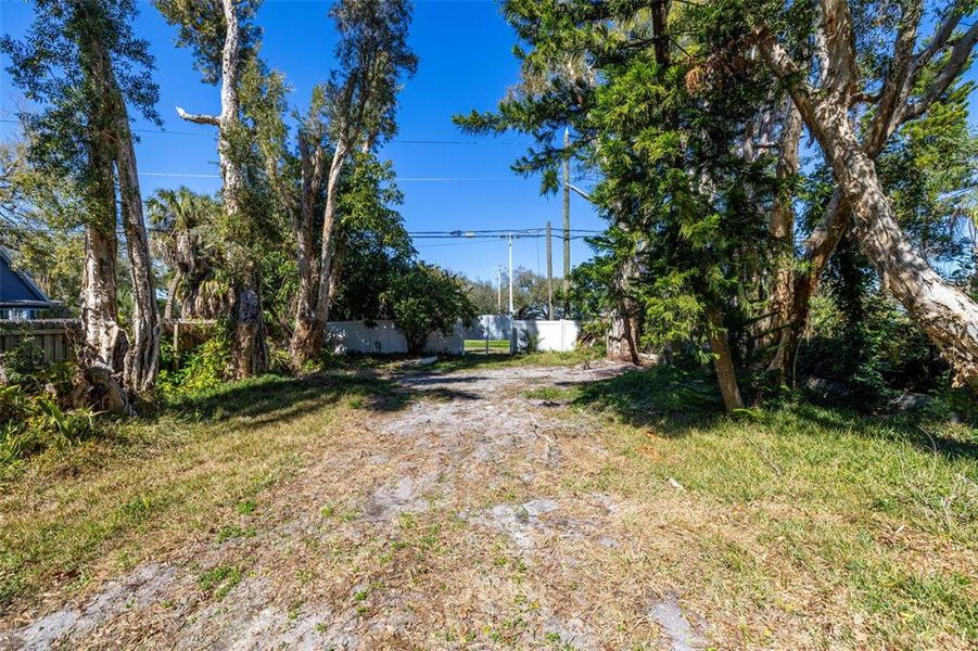 Natural landscape and outdoor views near  in St. Petersburg (Image 4).