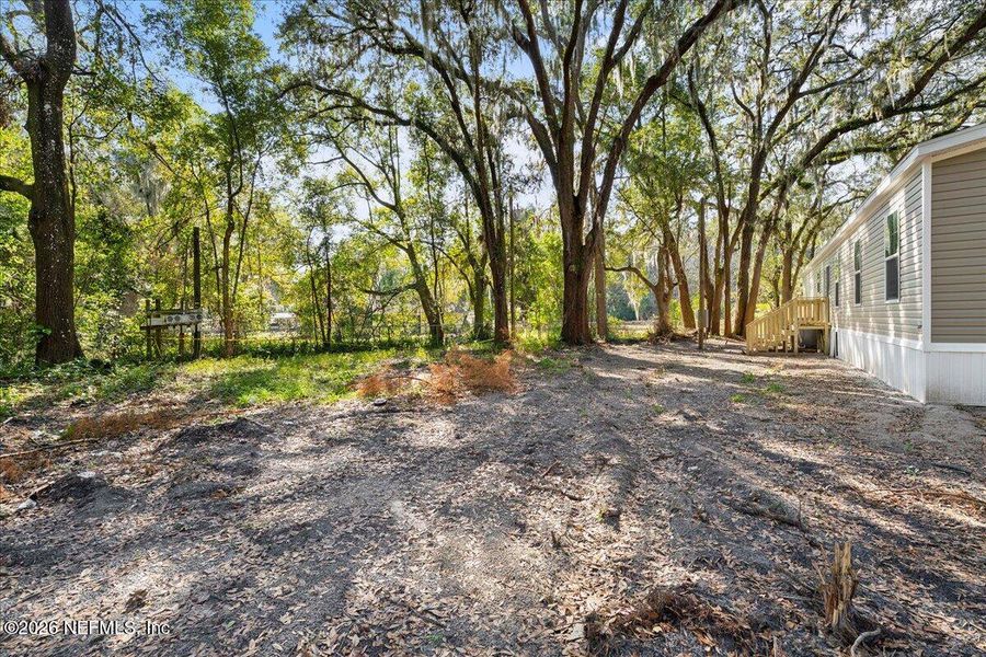 Natural landscape and outdoor views near  in Palatka (Image 26).
