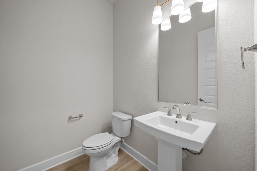 The Bluebonnet - Powder Bath