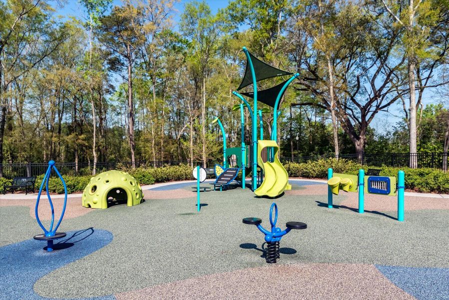 Community amenities in The Landings at Montague, Goose Creek (Image 33).