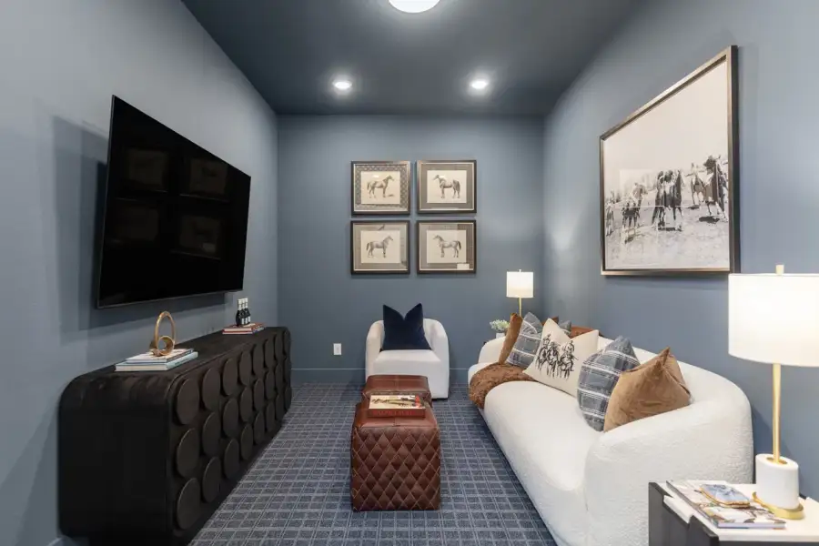 Representative Entertainment Room - some options shown Representative Entertainment Room - some options shown