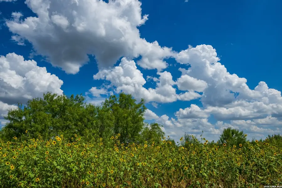 Natural landscape and outdoor views near in Crystal City (Image 14). Natural landscape and outdoor views near in Crystal City (Image 14).