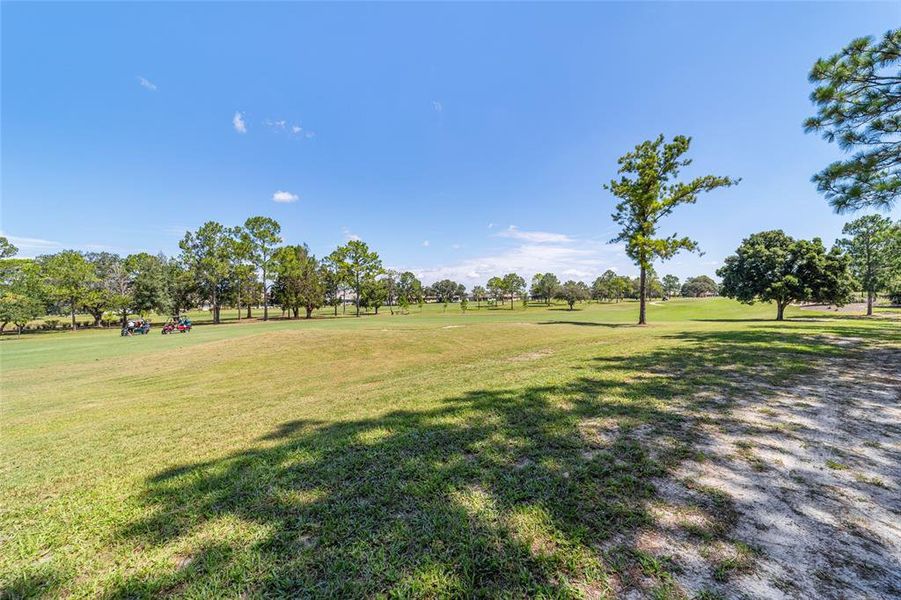 Natural landscape and outdoor views near  in Ocala (Image 73).