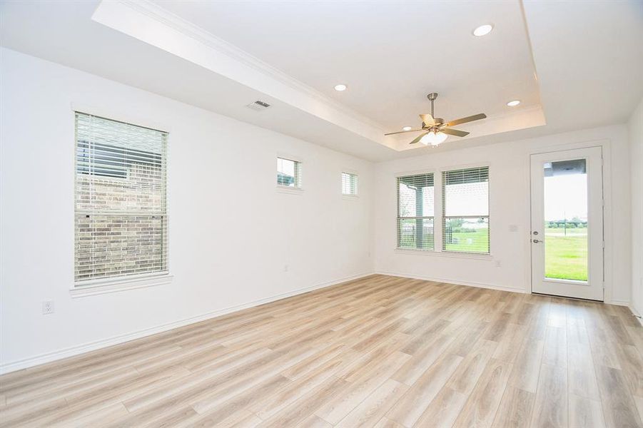 Flexible open dining/living with an upgrade of impressive tray ceiling