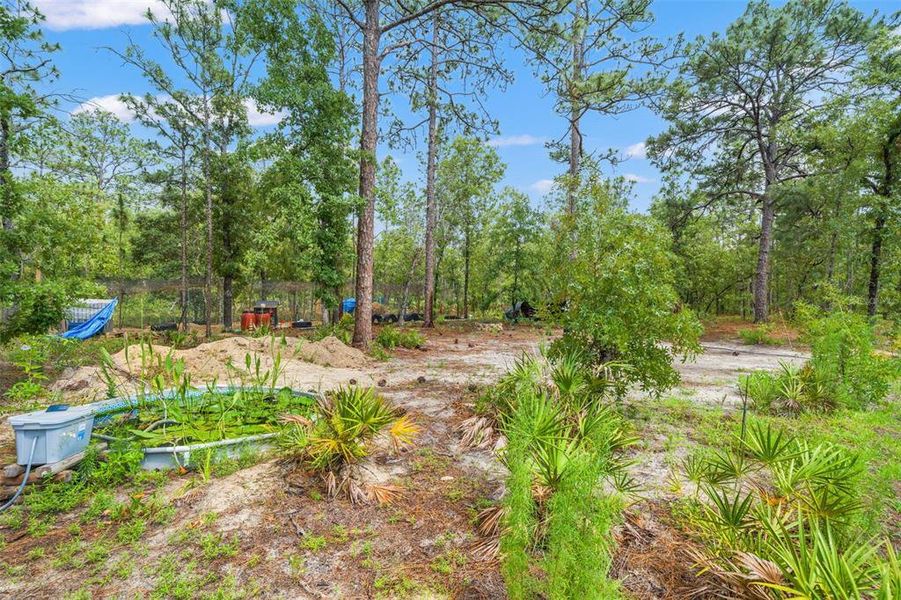 Natural landscape and outdoor views near Royal Highlands in Brooksville (Image 42).