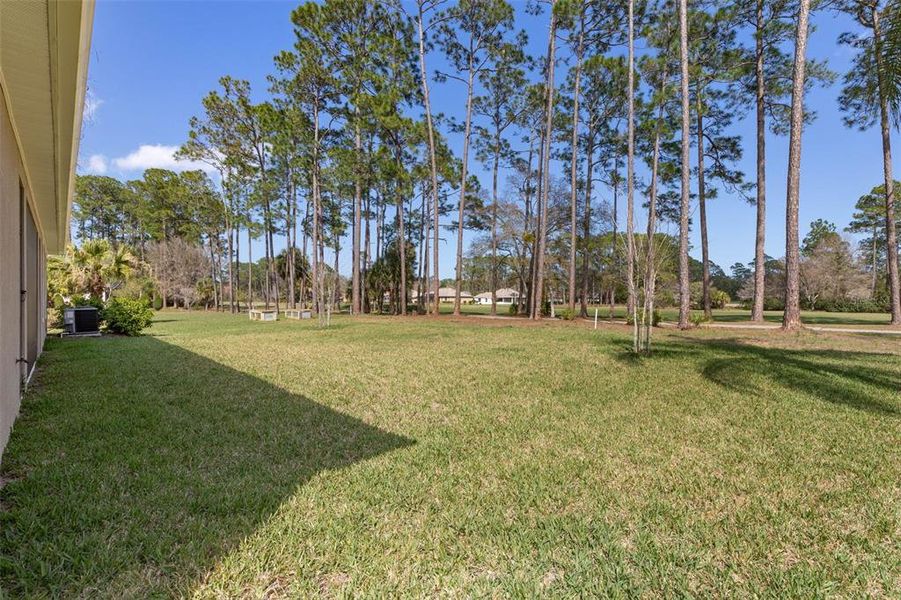 Exterior details and patio area of a home in , Palm Coast (Image 29).