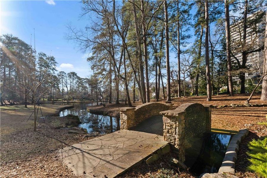 Natural landscape and outdoor views near  in Atlanta (Image 49).