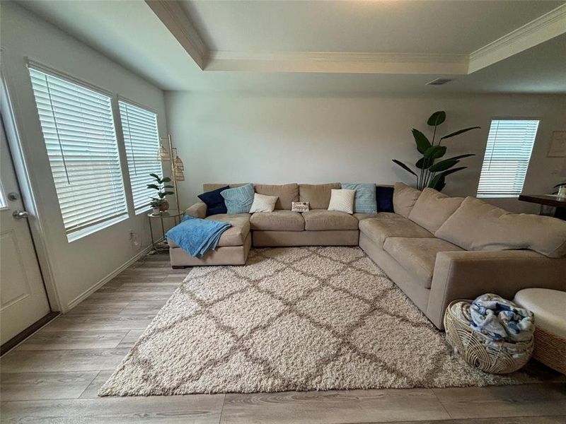 Living room featuring a tray ceiling, light wood-style floors, and crown molding