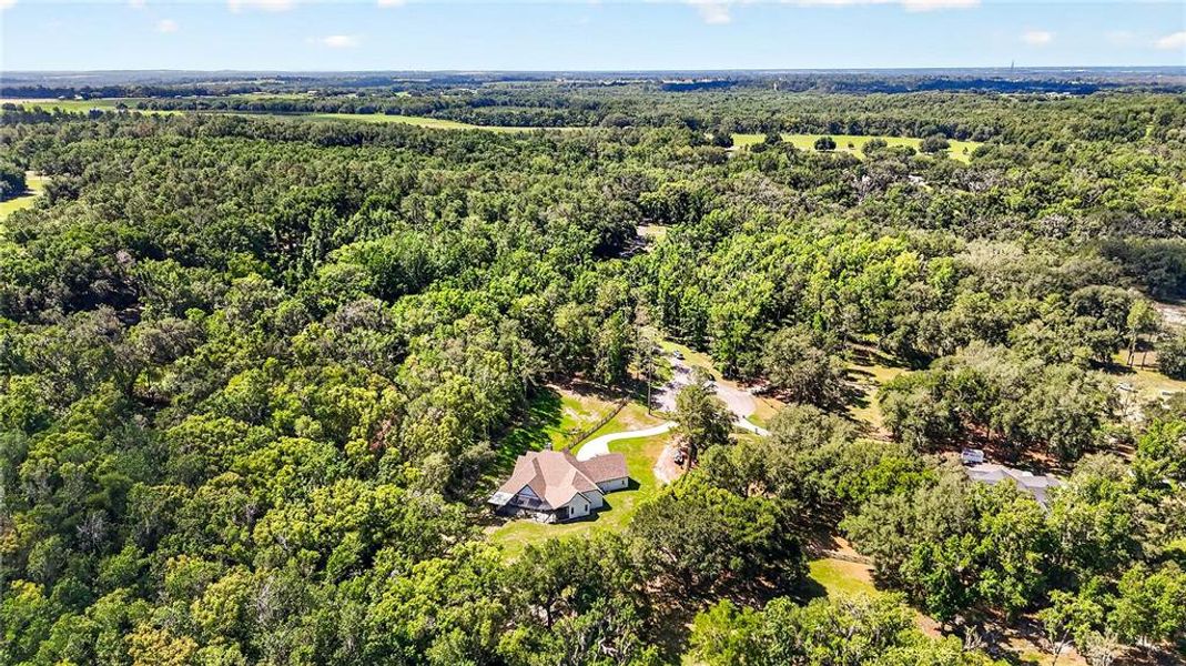 Natural landscape and outdoor views near  in Dade City (Image 54).