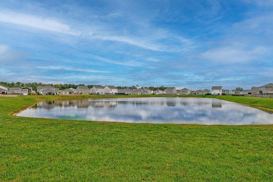 Natural landscape and outdoor views near  in Summerville (Image 42).