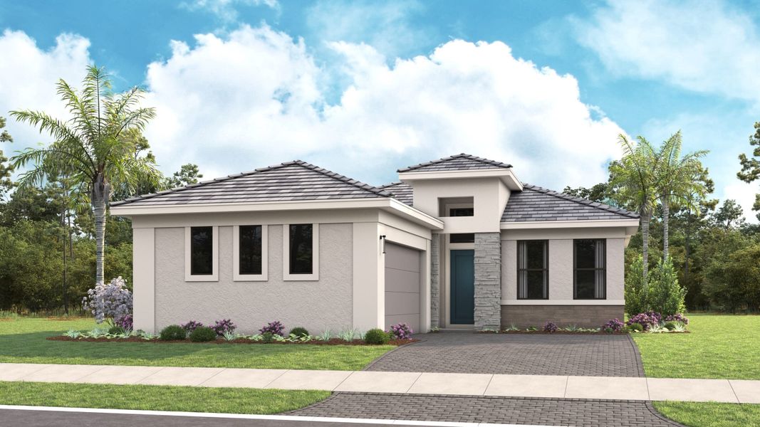 Tropical Modern