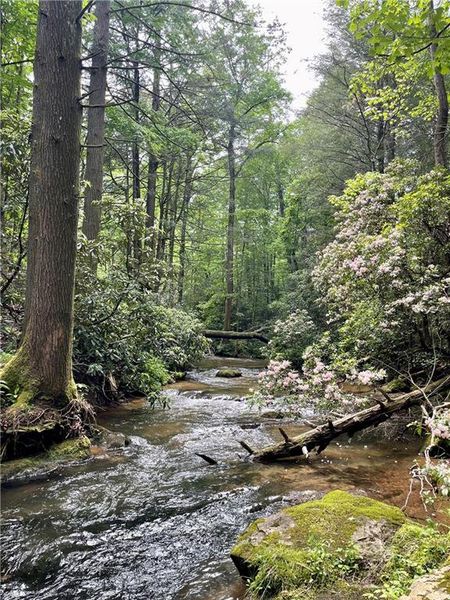 Natural landscape and outdoor views near in Dahlonega (Image 34). Natural landscape and outdoor views near in Dahlonega (Image 34).