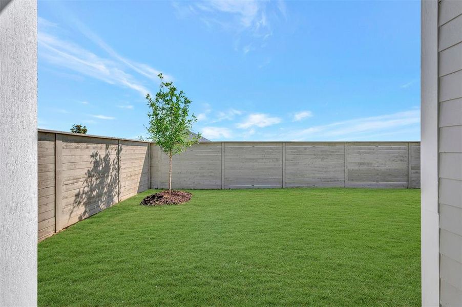 Expansive backyard featuring a manicured lawn, established tree, and concrete privacy fencing