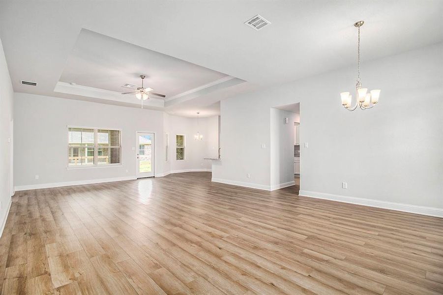 Living Areas with Tray Ceiling