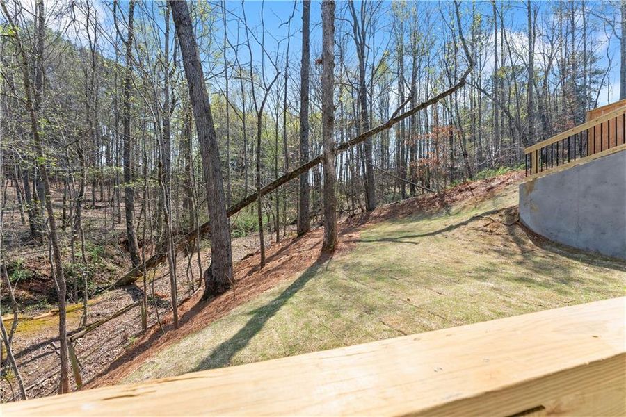 Natural landscape and outdoor views near Magnolia Villas in Cornelia (Image 51).