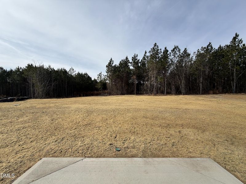 .73 Acres-Tree-Lined