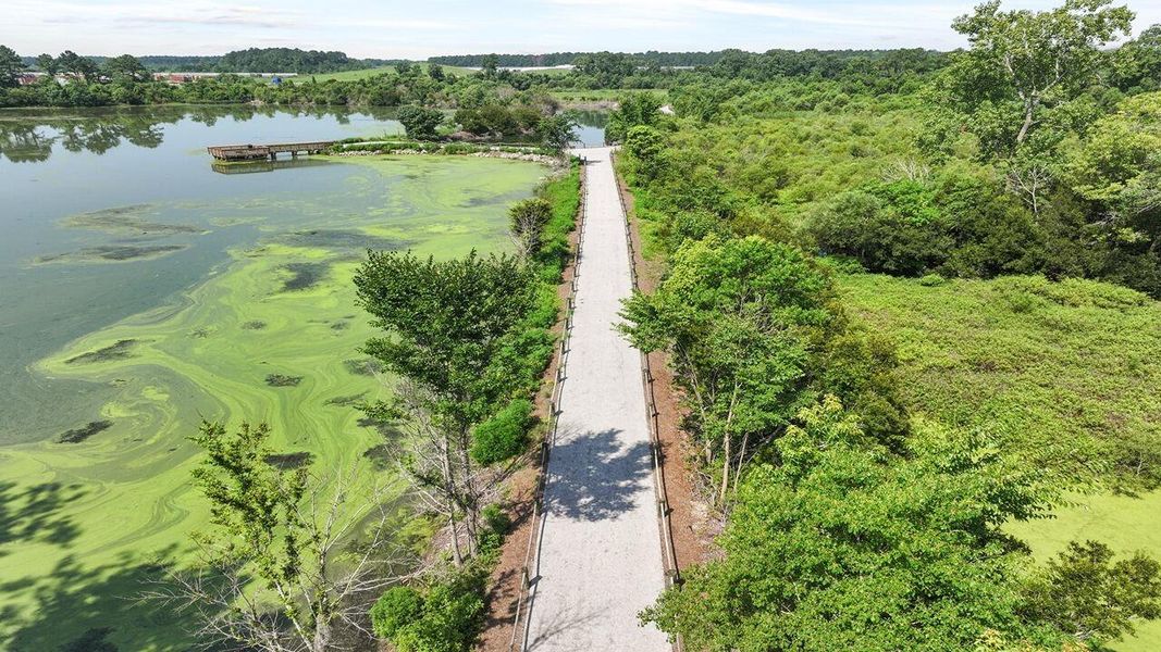 Natural landscape and outdoor views near Carolina Groves in Moncks Corner (Image 26).