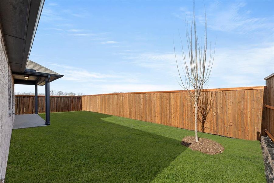 27. 3112 Goldfinch - Back (2)