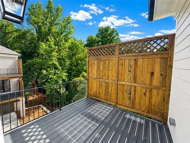 Trex flooring and upgraded iron railing