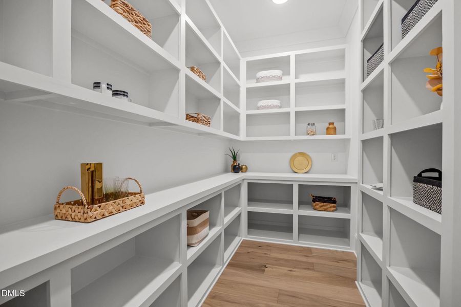 29-web-or-mls-IMG_0688