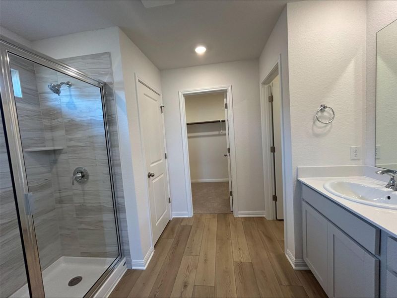 Bathroom with a shower stall, light wood-type flooring, vanity, a spacious closet, and recessed lighting