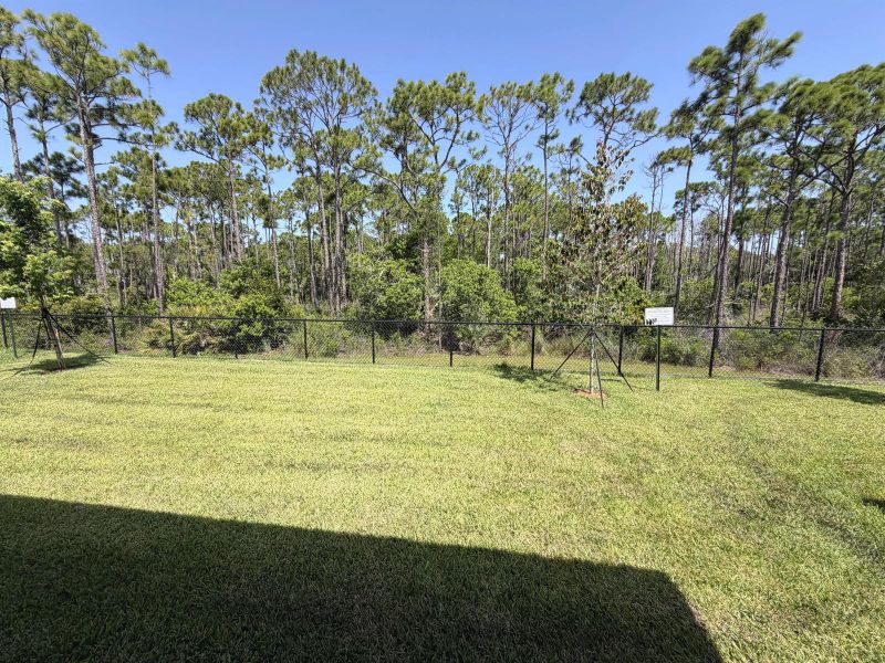 Lot 8 backyard Lot 8 backyard