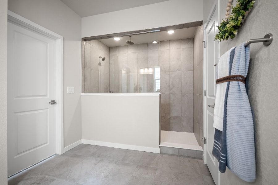 Owner's Bath