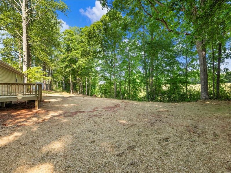 Natural landscape and outdoor views near  in Gainesville (Image 35).