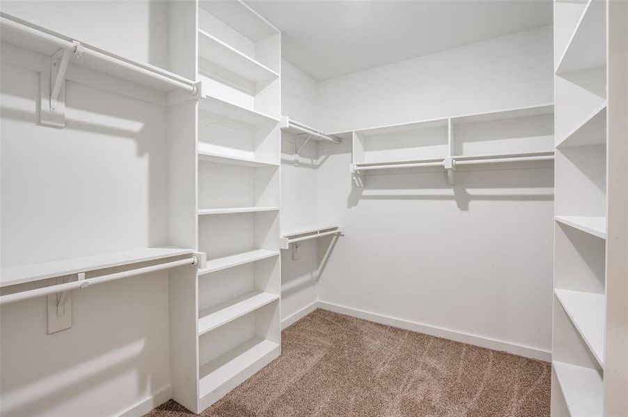 Spacious closet with carpet flooring