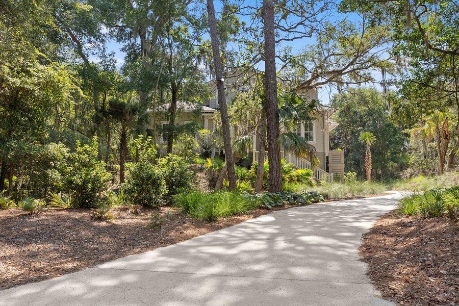 Natural landscape and outdoor views near  in Seabrook Island (Image 88).