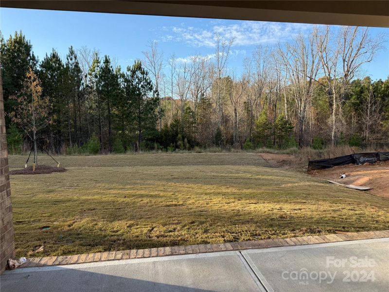 View from Covered Veranda