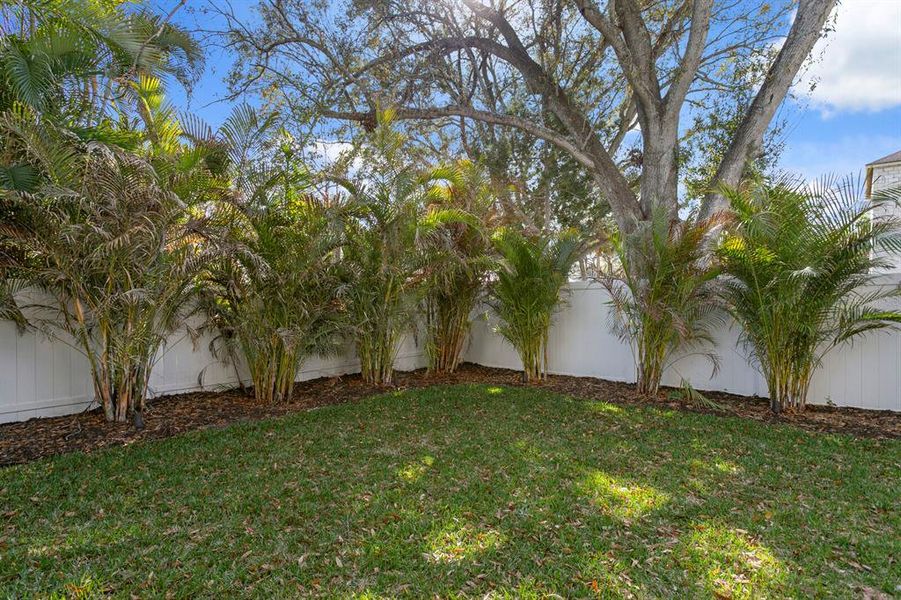 Natural landscape and outdoor views near in Tampa (Image 59). Natural landscape and outdoor views near in Tampa (Image 59).