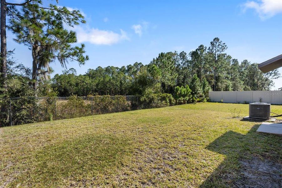 Natural landscape and outdoor views near in Lakeland (Image 24). Natural landscape and outdoor views near in Lakeland (Image 24).