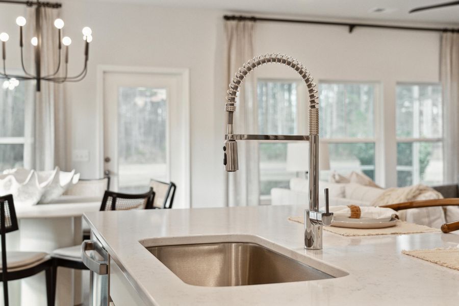 Close-up of interior finishes inside a home in Horizons at Summers Corner | 55+, Summerville (Image 11).