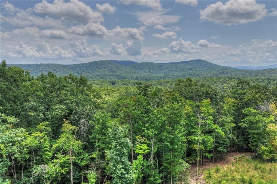 Natural landscape and outdoor views near  in Morganton (Image 36).